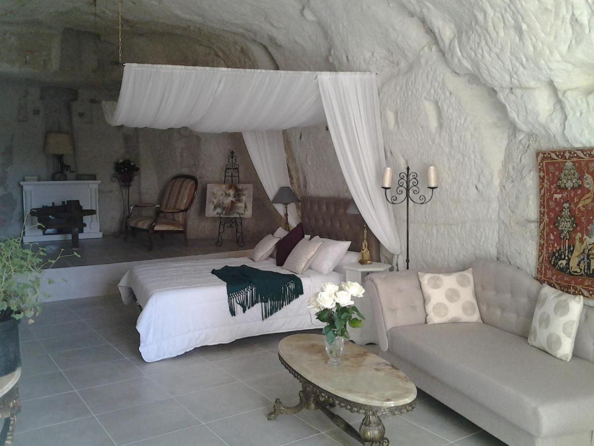 Le Manoir Des Roches Bed & Breakfast Bourre Exterior photo